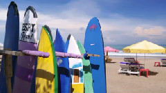 音乐短片 - 巴厘,印度尼西亚(上) - Bali,Indonesia