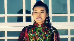 民乐群星,华语群星 - 缘定西藏