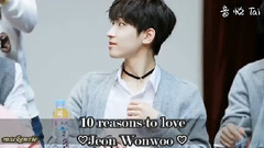 圆佑(Seventeen),Seventeen - 10个爱全圆佑的理由