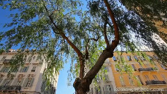 音乐短片 - 尼斯,法国