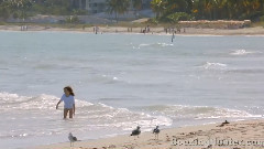 音乐短片 - 迈阿密,佛罗里达州 上