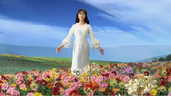 音乐短片,范冰冰 - 松下HD演示碟范冰冰版