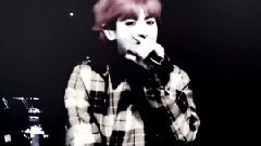 朴灿烈(EXO),EXO - Bangarang