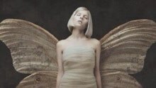 AURORA - Conqueror