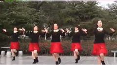 舞蹈视频 - 唱首新歌贺新年 广场舞版