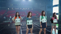 Red Velvet - SMTOWN The Stage In Japan DVD Red Velvet CUT