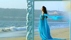 欧美群星 - Dil Kya Kare (Did I Love You?)