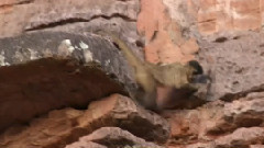 音乐短片 - 启示