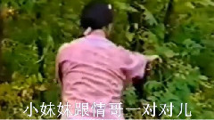 红萝卜 电视剧<康德第一保镖传奇>13集插曲