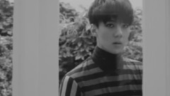 KAI(EXO),吴世勋(EXO) - LOST为我泪流成河