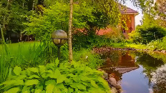 音乐短片 - Ромашки