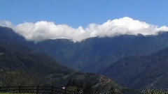 音乐短片 - 我需要安慰