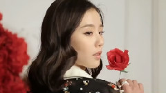 刘诗诗 - 绝美鲜花主题大片 应景新婚