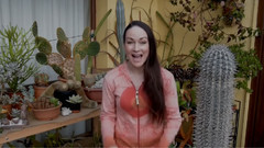 音乐短片 - 我过冬的仙人掌和肉质植物