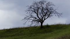 音乐短片 - George Frideric Handel K and K Impressions