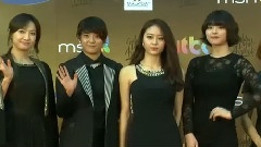 f(x) - 红毯