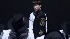 SS301 - Pain
