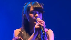 SNH48 - 夜蝶
