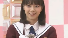 AKB48,乃木坂46 - 乃木坂46时间TV(西野动物园)