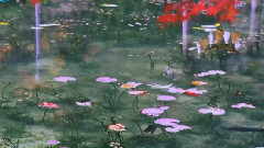 音乐短片 - 小提琴 四季 冬