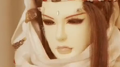 动漫专属 - 锦鲤抄