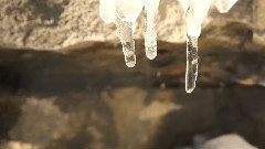 音乐短片 - QUÉBEC