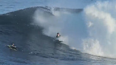 音乐短片 - PIERRE'S YELLOW BIRD EXPRESS