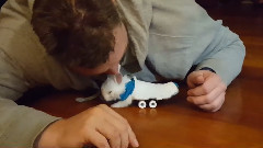 音乐短片 - 可怜可爱的兔宝宝