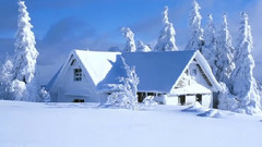 音乐短片 - Precious Love