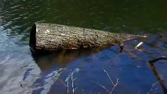 音乐短片 - 秋水悠悠