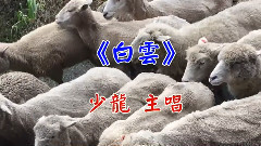 原创 - 白云