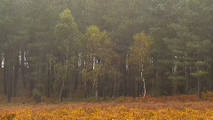 音乐短片 - 心之咏叹调