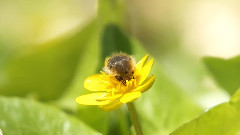 音乐短片 - Summer Morning