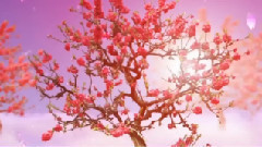 音乐短片 - 女人花