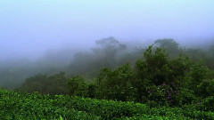 音乐短片 - 离骚