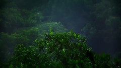 音乐短片 - 杏花溪