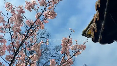 乐动城市,音乐短片,轻音乐,风景 - 无锡有约