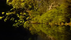 音乐短片 - 阳关三叠之田园诗人王维