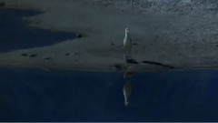 音乐短片 - Libertatea - Esenta Sufletului