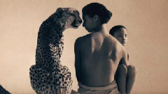 音乐短片 - Detasarea