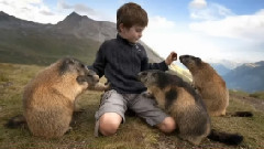 音乐短片 - Cei Care Mentin Frecventa