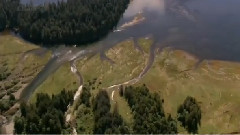 音乐短片 - Citadela