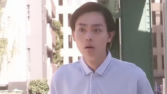 日本群星,AKB48 - 行列法律相谈所 明石家秋刀鱼3小时SP