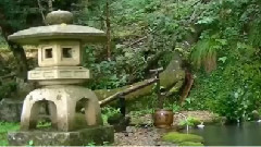 音乐短片 - Calea Tăcerii OM Aïvanhov