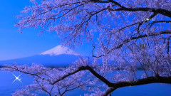 音乐短片 - Blue... The Color Of Dreams