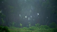 音乐短片 - 杏花溪之恋