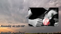 欧美群星 - Vou te amar pra sempre