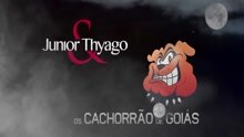 Os Cachorrão De Goiás