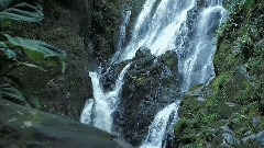 音乐短片 - 生命的渴望