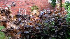 音乐短片 - В гостях у лета. фильм Михаила Киселёва